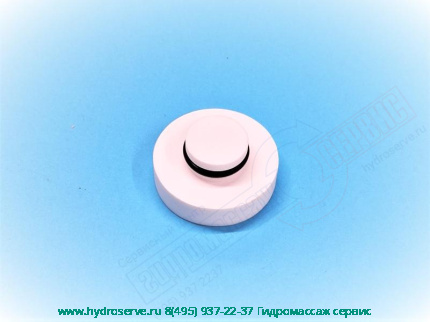 AURA Пробка контейнера дезинфекции JACUZZI 227505960